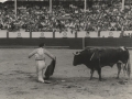 Plaza de toros e inauguración