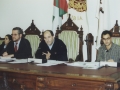 Pleno municipal
