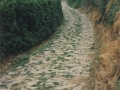 Camino empedrado para rodada de carros : empedrado de canto