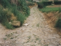 Camino empedrado para rodada de carros : empedrado de canto