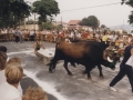 Arrastre de piedra por bueyes en las fiestas patronales