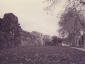 1108670.jpg