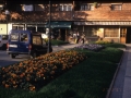 Jardines en las calles de Hondarribia