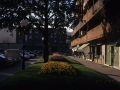 Jardines en las calles de Hondarribia
