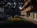 Jardines en las calles de Hondarribia