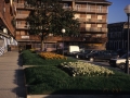 Jardines en las calles de Hondarribia