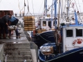 Arrantzales descargando cajas de pescado en el puerto de Hondarribia