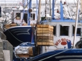 Descarga de cajas de pescado en el puerto de Hondarribia