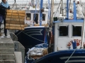 Arrantzales descargando cajas de pescado en el puerto de Hondarribia