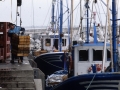 Arrantzales descargando cajas de pescado en el puerto de Hondarribia