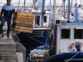 Arrantzales descargando cajas de pescado en el puerto de Hondarribia