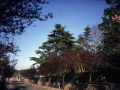 Calle de Hondarribia