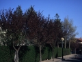Calle de Hondarribia
