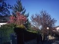 Calle de Hondarribia