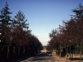 Calle de Hondarribia