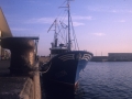 Barco pesquero en el puerto de Hondarribia