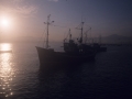 Barcos pesqueros en la bahía de Txingudi