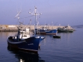 Barcos pesqueros en el Puerto de Refugio