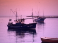 Barcos pesqueros en la bahía de Txingudi