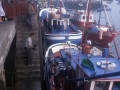 Pescadores descargando pescado en el puerto