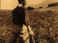 Reproducción de una postal de un hombre cortando hierba