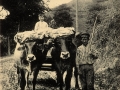 Fontarabie (Espagne) : types basque