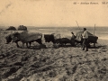 Attelage basque