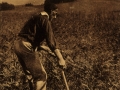 Reproducción de una postal de un campesino segando