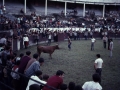 Interior de la plaza de toros