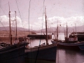 Barcos amarrados en el Puerto de Refugio