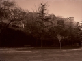 Parque con bancos