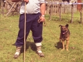 Pastor con su perro