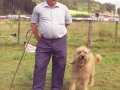 Pastor con su perro