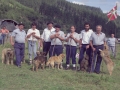 Pastores con su perros