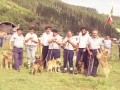 Pastores con su perros