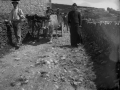Idi parea gurdiari tira eginez Albiasun