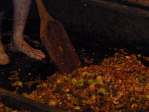 Beatriz Ibañez Romero1