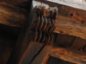 igartza19_14073979837_o