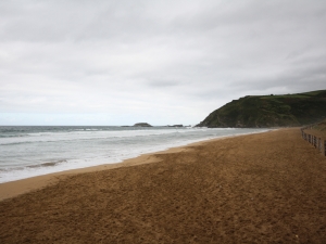 Zarauzko Mollarri
