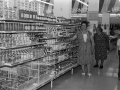 Personas haciendo la compra en el supermercado Eroski, el día de su inauguración