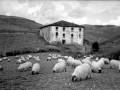 Bergara. Mendizabal baserria.