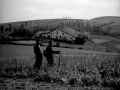 "Elosua (Vergara). Paisaje de la venta de Elosua"