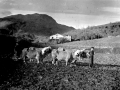 "Paisaje de Izarraitz desde Urrestilla"