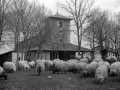 Campa de Arrate y santuario