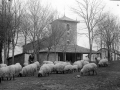"Arrate. Santuario de Arrate"