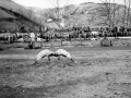 Ahari talka Eibarko plazan