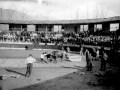 Prueba de bueyes en la plaza de toros de Eibar