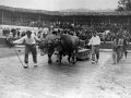 El probalari Ibargain (Santiago Astigarraga) con la pareja de bueyes en la plaza de toros de Eibar