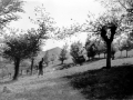 "Escoriaza. Paisaje con Asenciomendi al fondo entre Arechabaleta y Escoriaza"