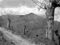 Vista del monte Asensiomendi